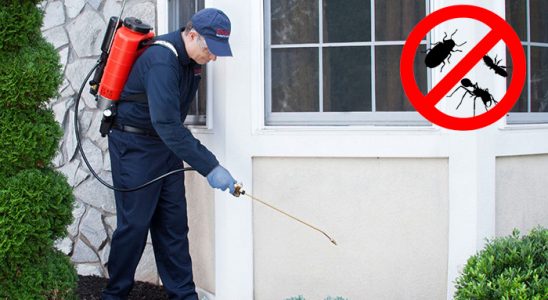 Buca Böcek ve Haşere İlaçlama böcek ilaçlama ve haşere kontrolü — ilaclama-tr.com